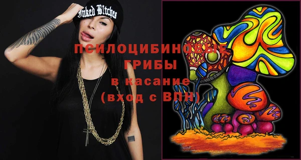 бошки Бородино