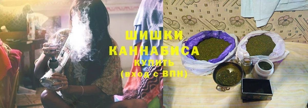 бошки Бородино
